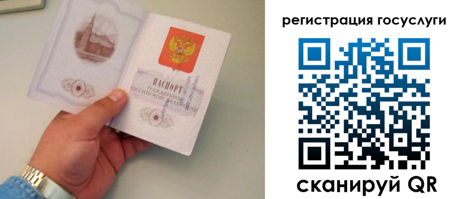 прописка регистрация в Курской области